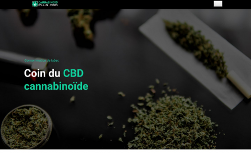 https://www.cannabinoidpluscbd.com